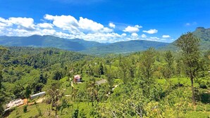 A lush green landscape with a clear sky and distant mountains. - Vilona Inn (Nuwara Eliya)