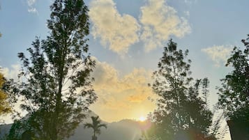 Land view from property