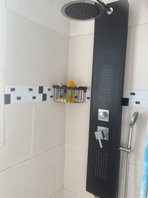 Shower, hair dryer, towels, soap