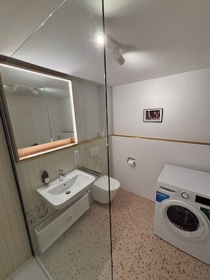 Shower, hair dryer, towels