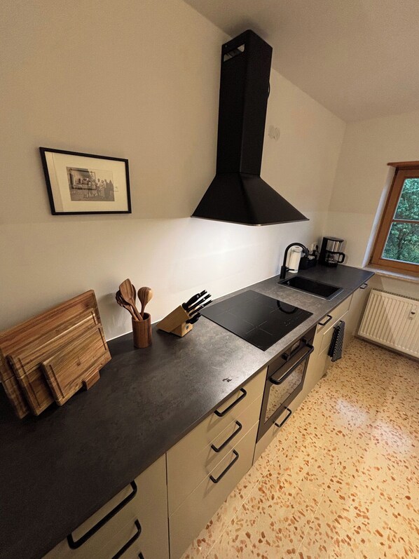 Fridge, oven, stovetop, dishwasher