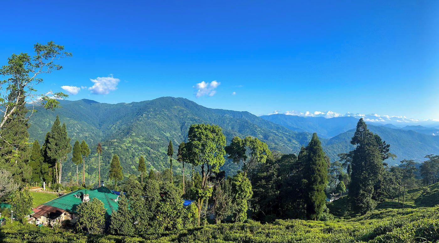 A mountainous landscape with tea plantations and a few buildings.