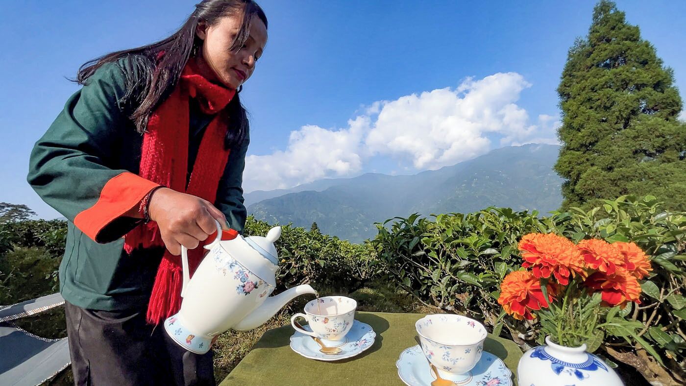 A person pouring tea into a cup at a table with a view of mountains and flowers.