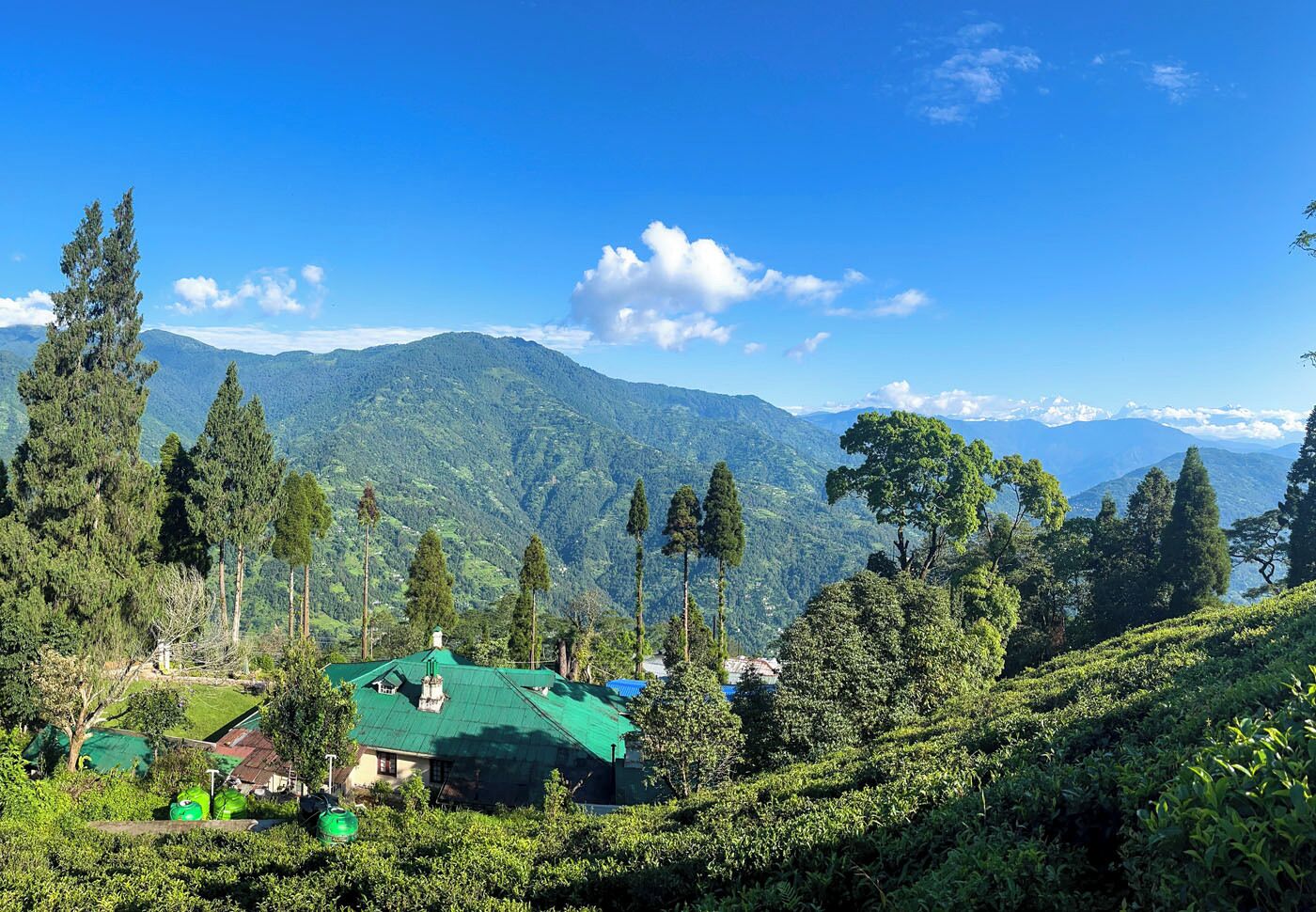 Une maison dotée d’un toit végétalisé, nichée au milieu d’une végétation luxuriante, avec des montagnes en toile de fond.
