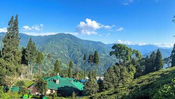 A house with a green roof amidst lush greenery and mountains in the background.