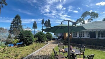 Garden view
