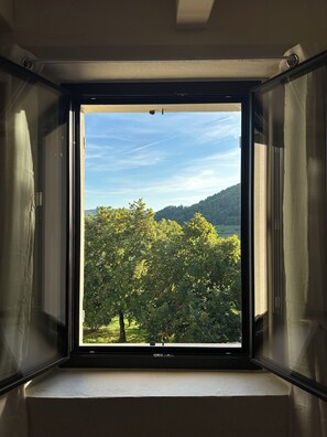 Interior - Beautiful sheepfold in a natural setting (Séguret)