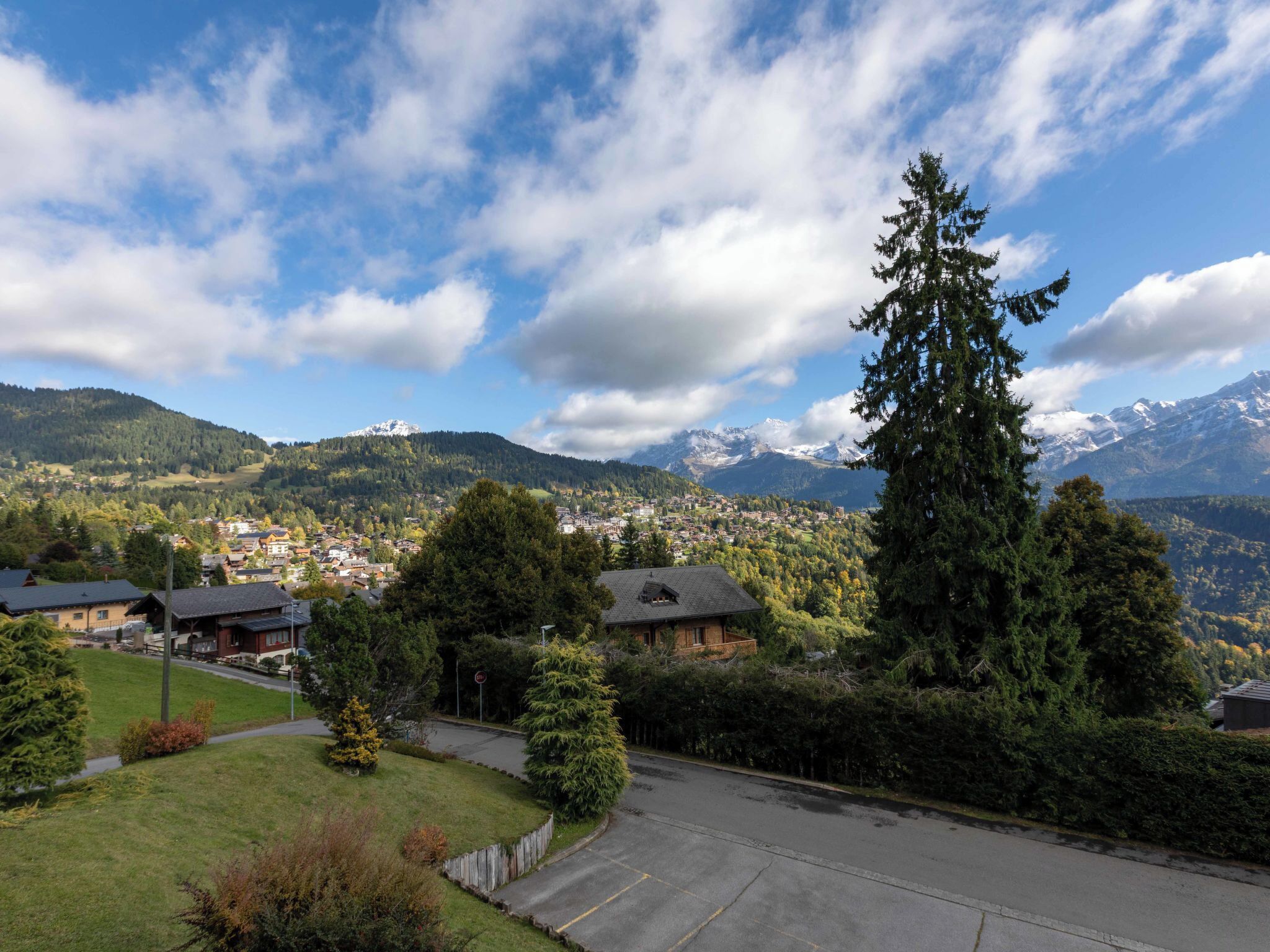A residential area with houses, a large coniferous tree, and a mountain range in the background.