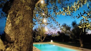 A swimming pool with a tree and string lights in the background. - VILLA GINEVRA: typical Salento pajara with swimming pool in the Salento countryside. (Montesano Salentino)