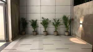 Un sol carrelé, avec des plantes en pot disposées en rangée le long d’un mur.