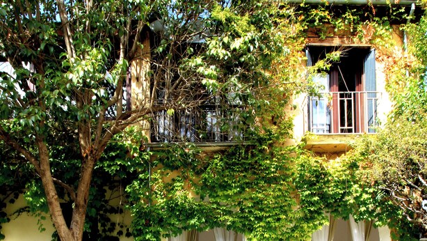 A pool with a tiled edge, a tree in the foreground, and a building with a balcony and curtains. - Villa Castro (Granada)
