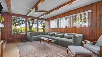 Smart TV, fireplace, books, offices