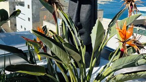 A room with a view of a cityscape and the sea, featuring a stone sculpture and tropical plants. - Sliema Studios (Sliema)