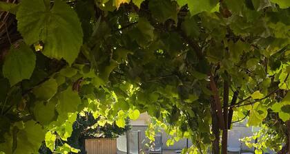 Villa 'Vacances' avec piscine privée, Wi-Fi et climatisation