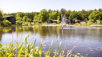 A lakeside view with a fountain, surrounded by cabins and lush greenery.
