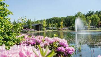 Chalet | Property grounds