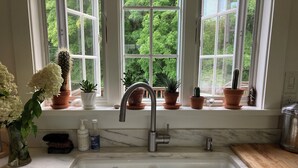 Una cocina con un lavaplatos doble, una ventana con varias macetas y vista a la vegetación exterior.