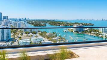 المنطقة المحيطة بالمنشأة