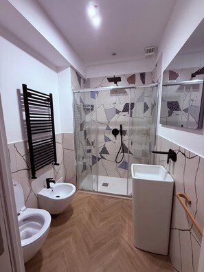 Shower, hair dryer, bidet, towels