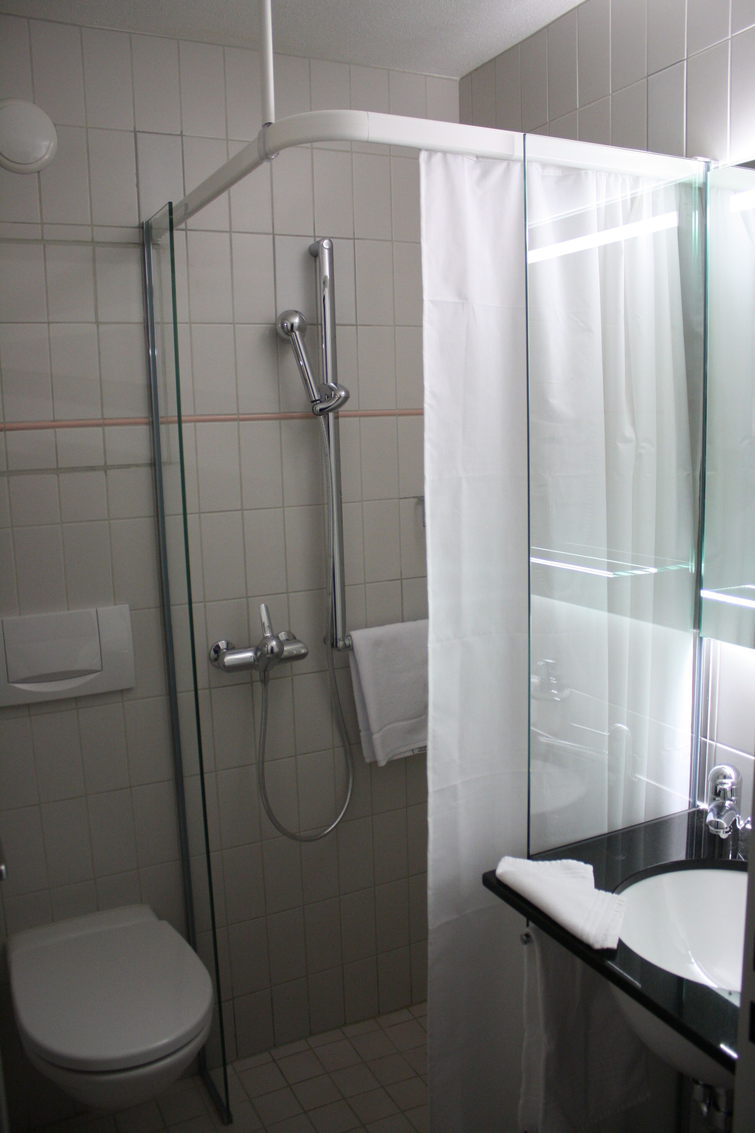 A modern bathroom with a glass shower enclosure, a white toilet, and a black sink with a mirror.