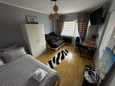 Cosy modern ski apartment centrally located in Petrosani