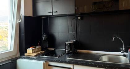 Cosy modern ski apartment centrally located in Petrosani