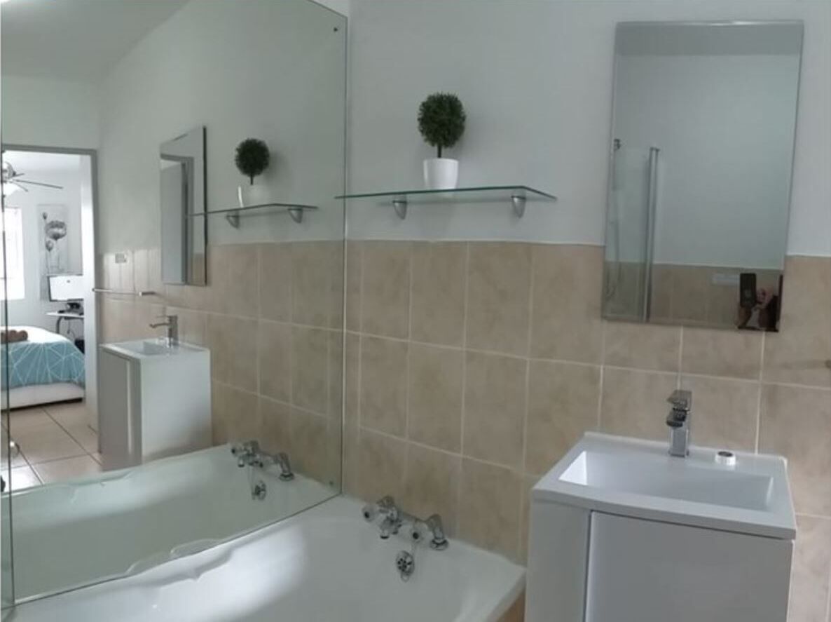 Une salle de bain moderne avec un grand miroir, une baignoire en verre, un lavabo blanc et une plante en pot posée sur une étagère.