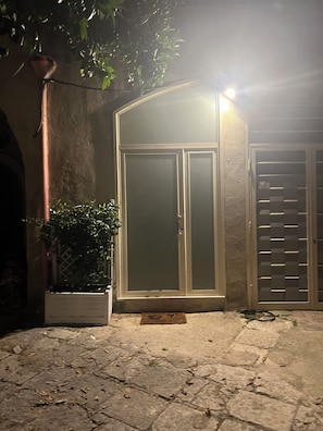 A gated entrance with a metal door, a potted plant, and a stone-paved area.
