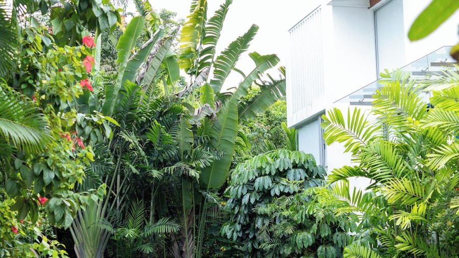 埃尔特索罗-II J3