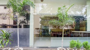 Edifici amb façana de vidre, plantes en testos a la façana i paviment de rajoles.