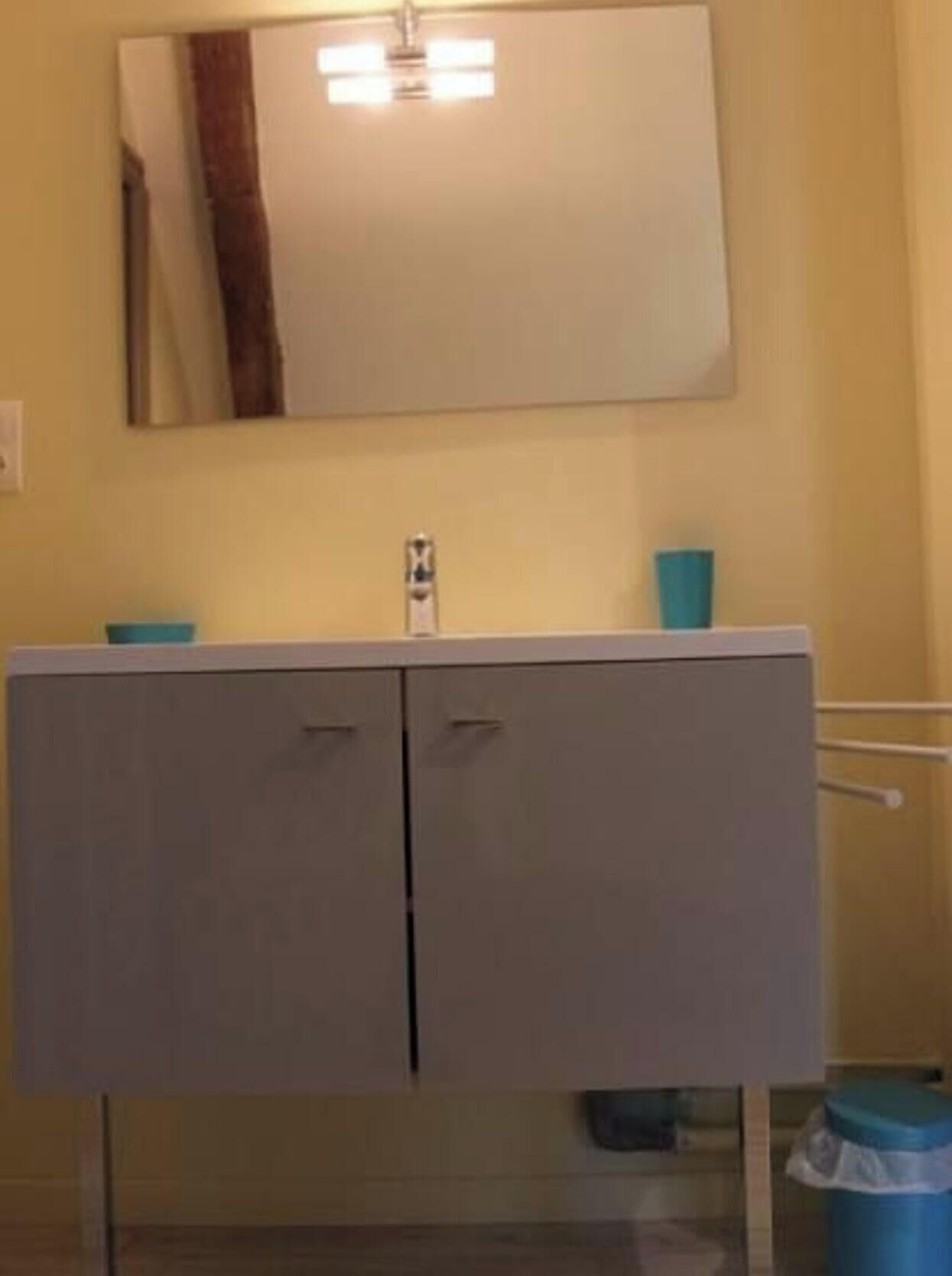 A bathroom with a white vanity, a mirror, and a blue trash bin.