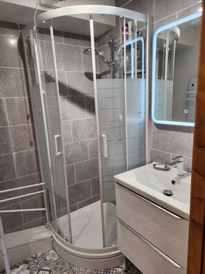 Shower, hair dryer, toilet paper