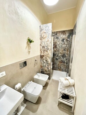 Shower, hair dryer, bidet, towels