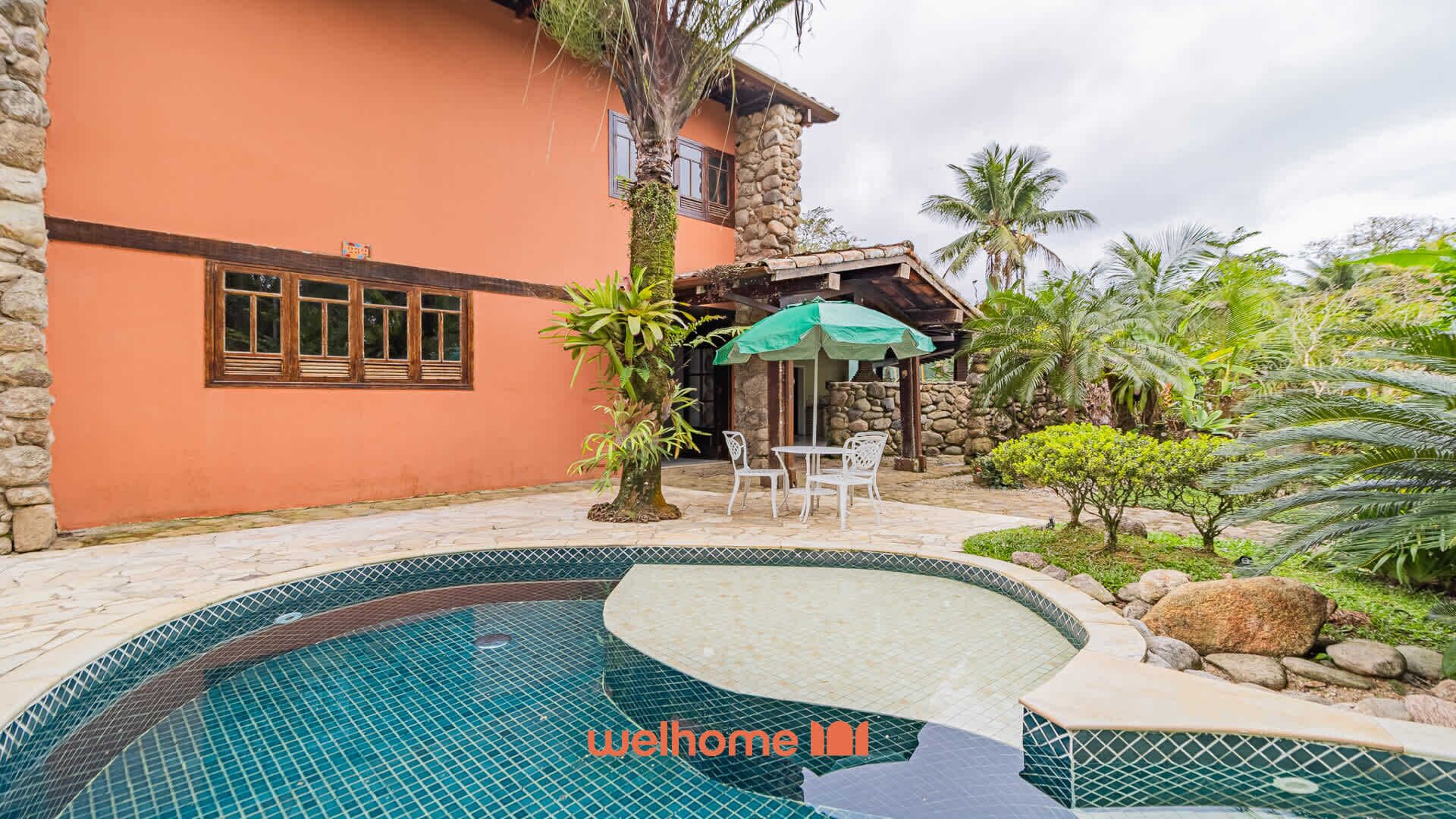 A swimming pool with a stone wall and a palm tree in the background.