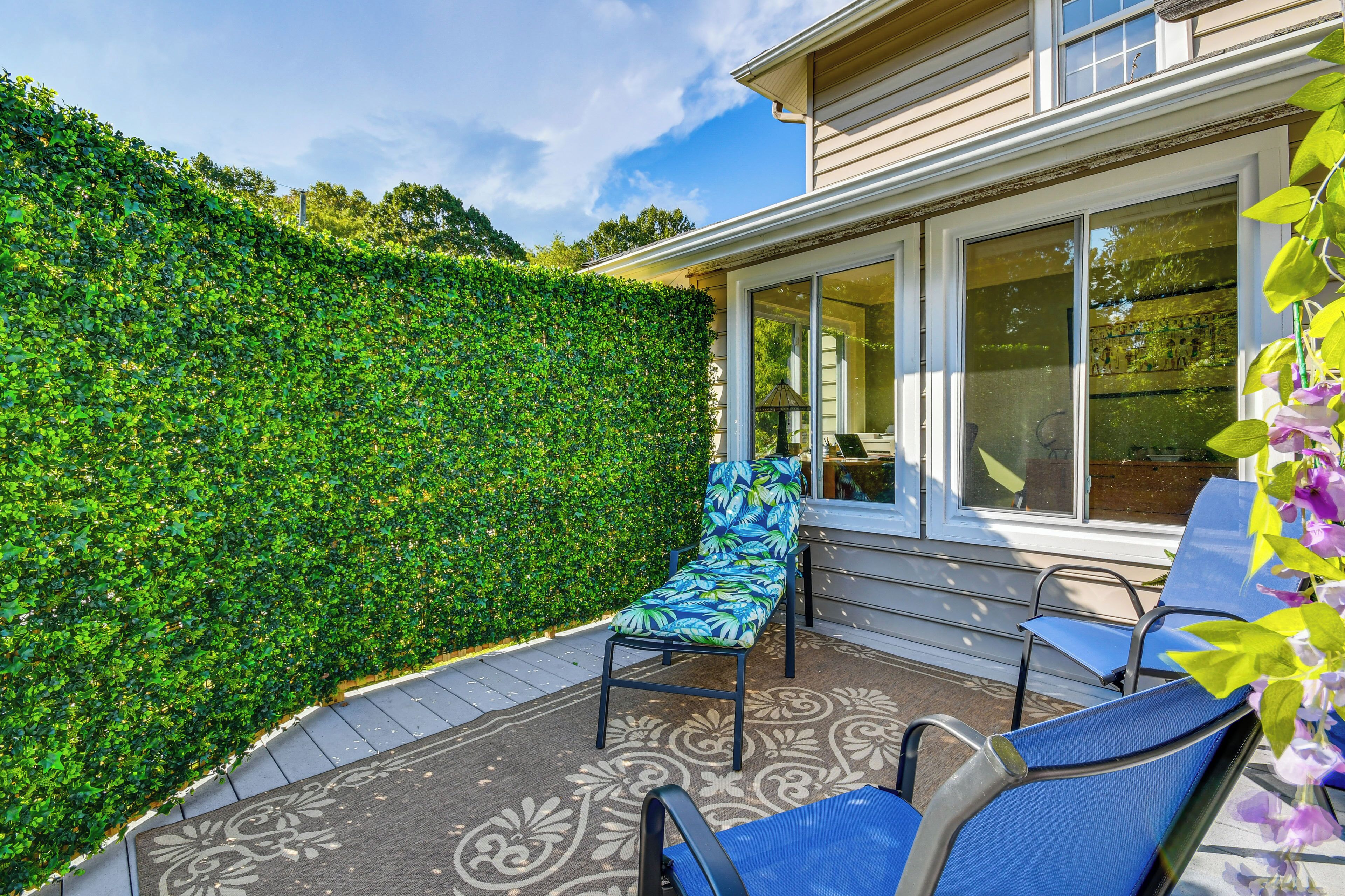 A patio with two blue chairs and a decorative rug, a hedge, and a house with large windows.