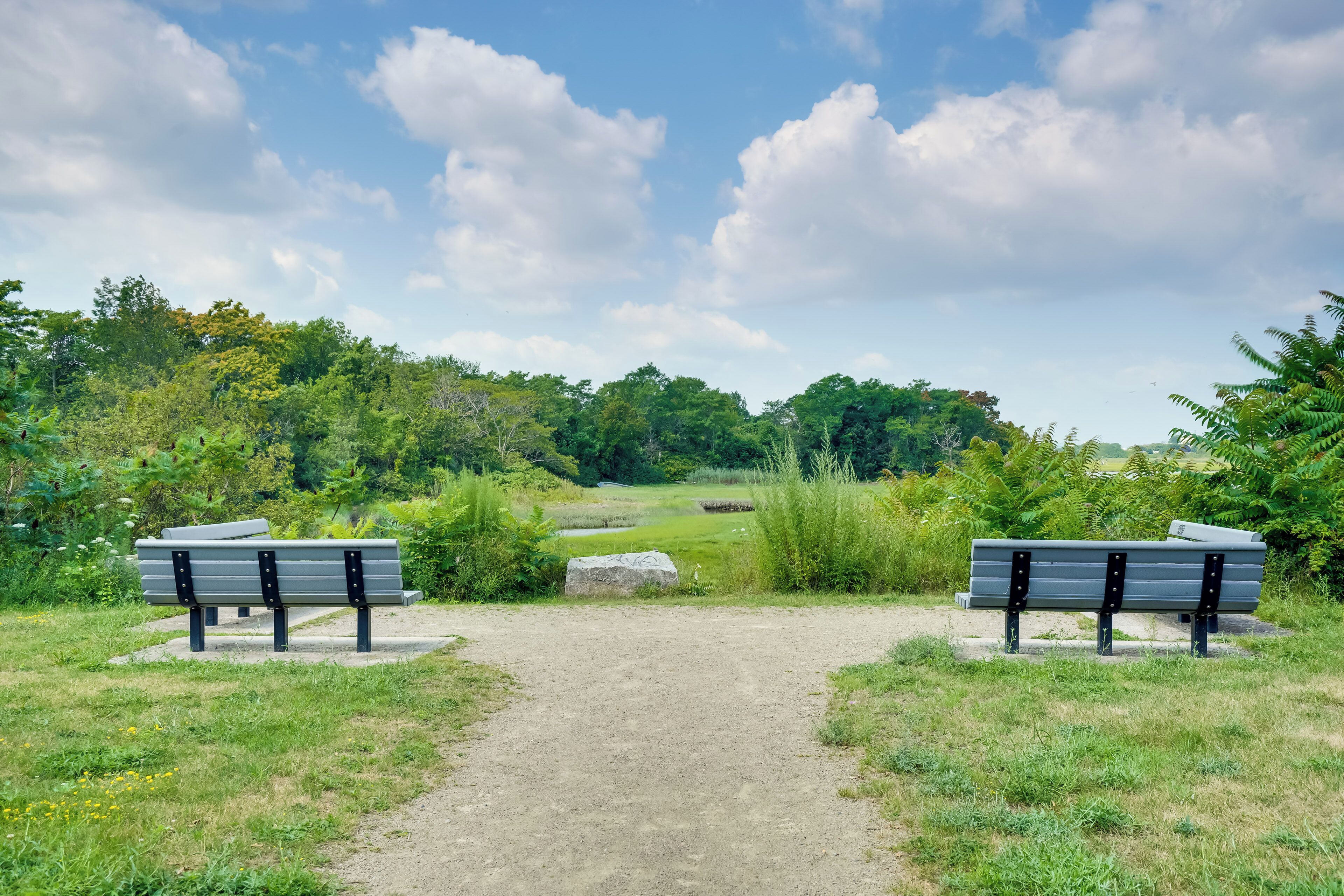 Uma trilha leva a dois bancos em um parque, com vegetação e árvores ao fundo.