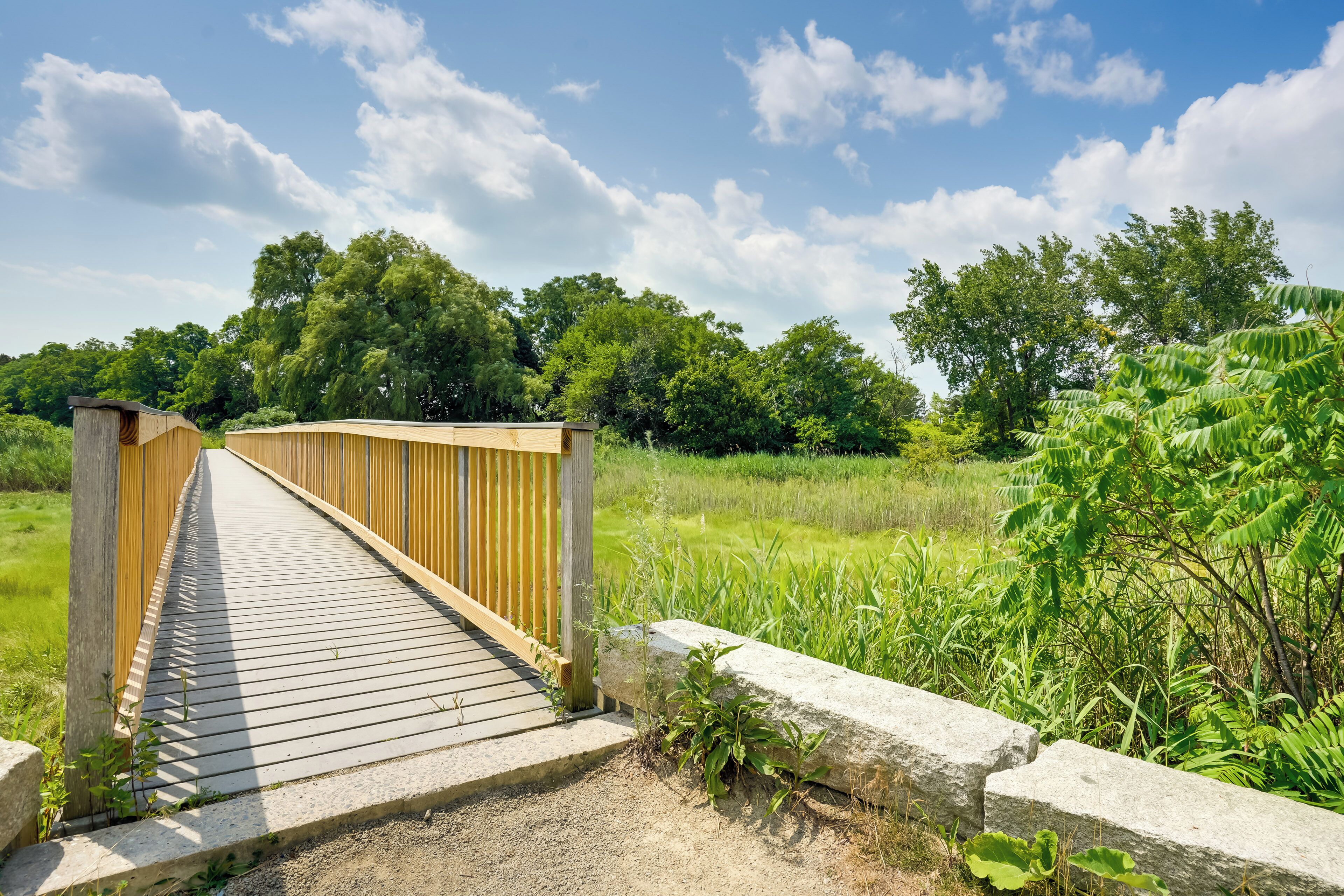 A wooden bridge leading to a grassy area with trees in the background.