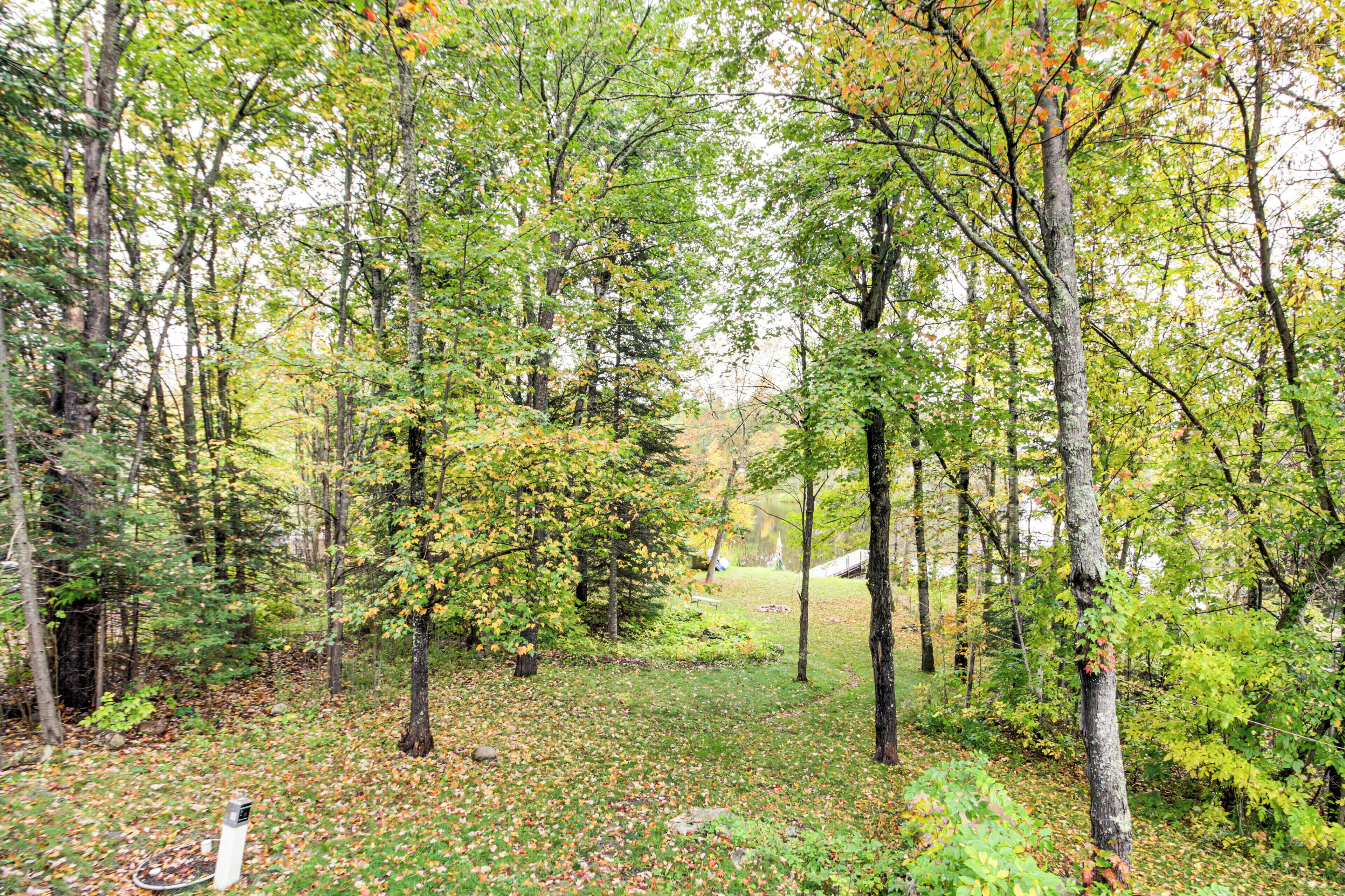 A forested area with trees and a path.
