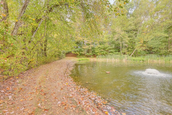 A natural landscape with a dirt path leading to a pond surrounded by trees.