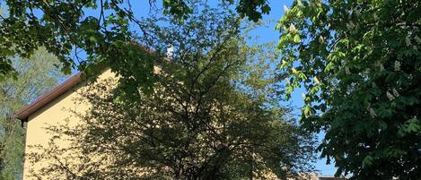 住宿场地