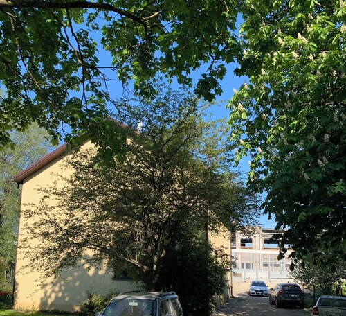 Cosy Scandinavian style apartment in Riga with WiFi and parking