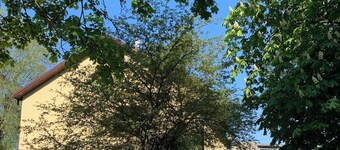 Cosy Scandinavian style apartment in Riga with WiFi and parking