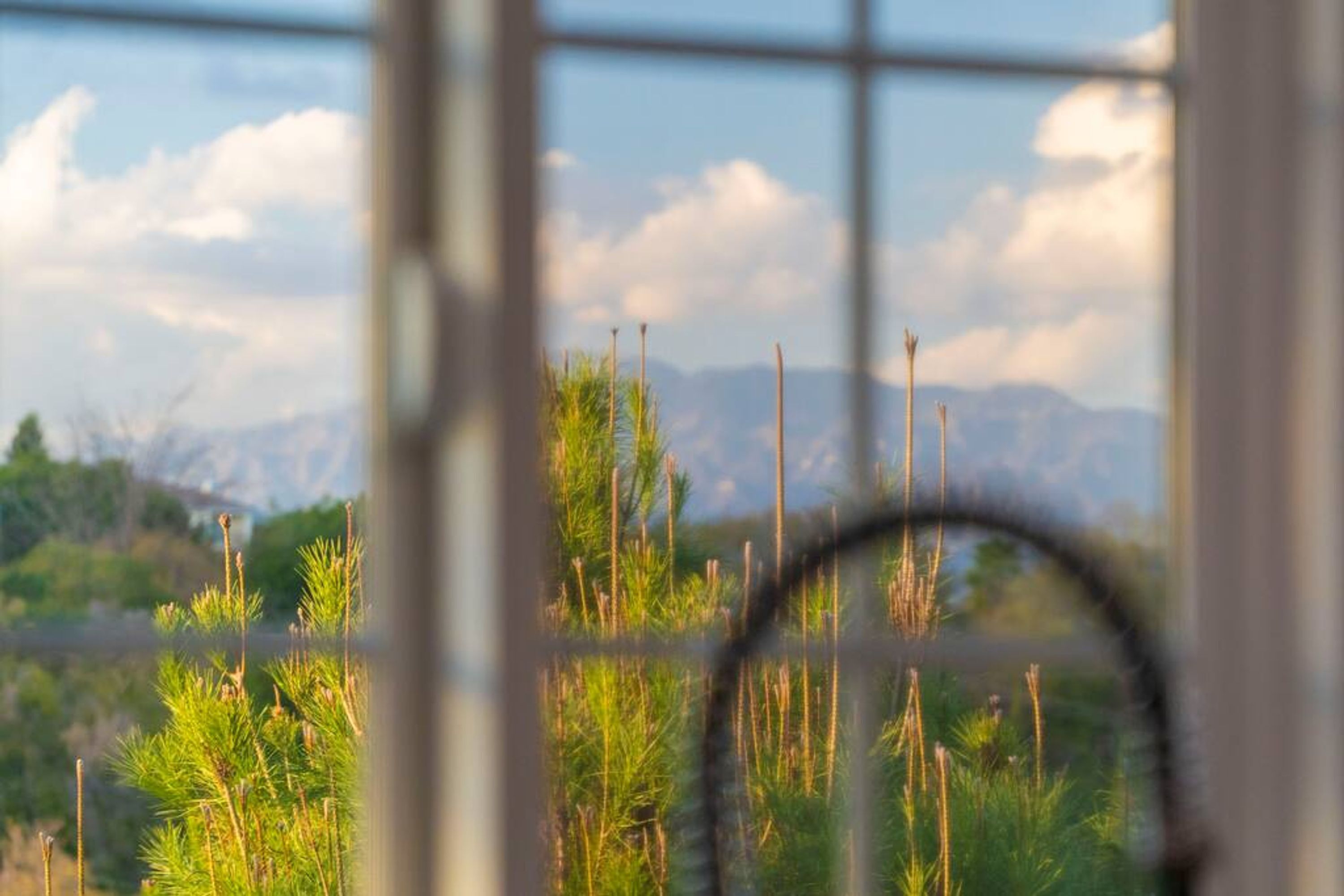 Casa | 1 habitación y internet 