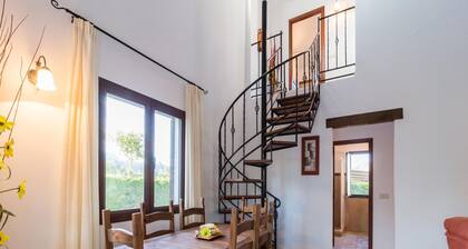 Countryside Ibipozo Retreat in Pozo Alcon
