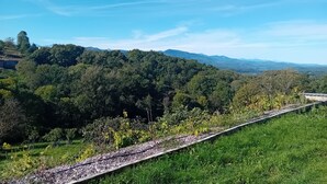 Paisaje rural con cielo despejado, abundante vegetación y montañas a lo lejos.