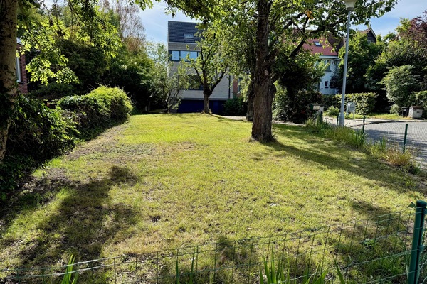 Spacious front yard with mature trees for greenery and privacy in a quiet area