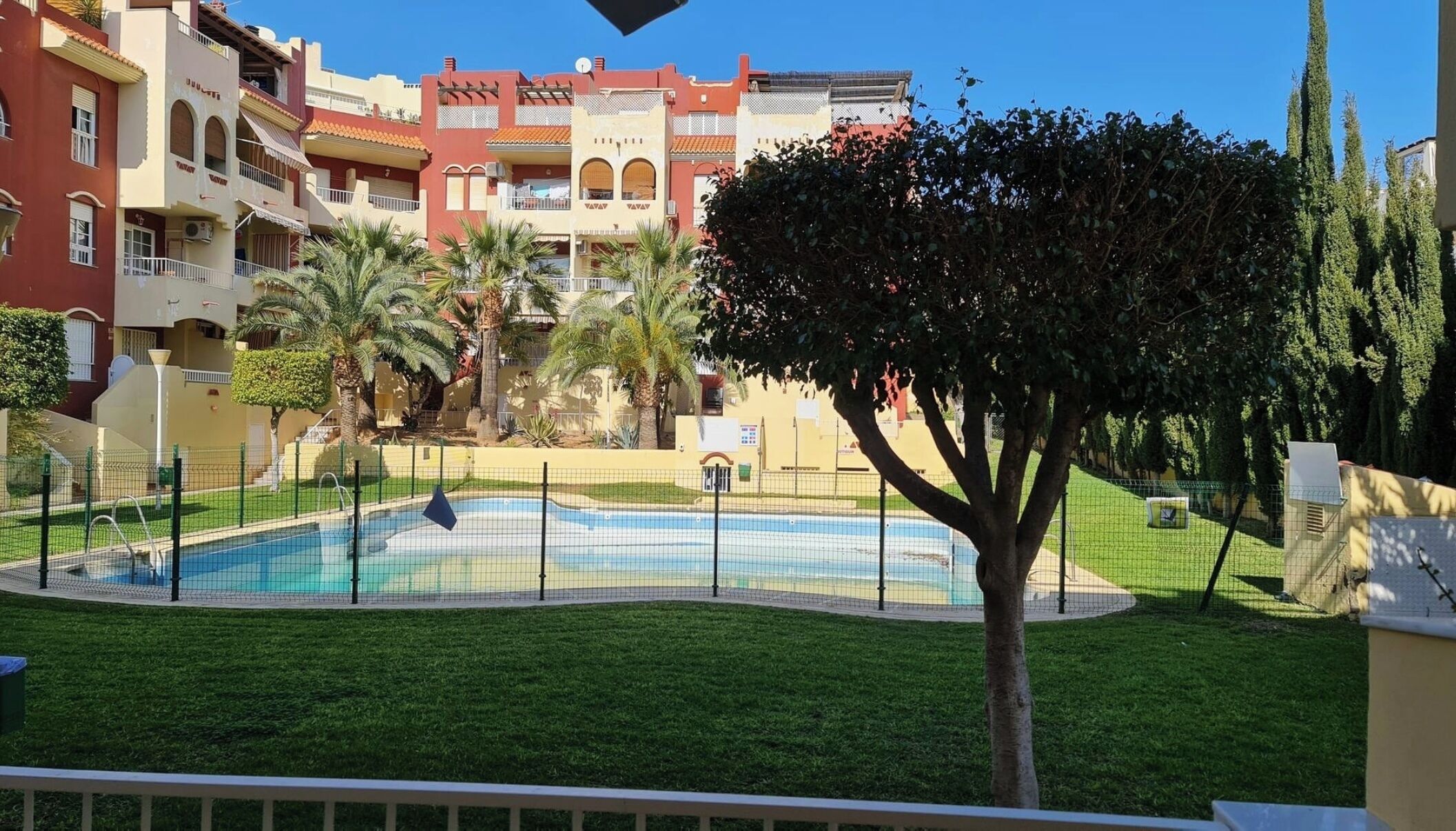 A swimming pool surrounded by a fence, with a tree in the foreground and buildings in the background.