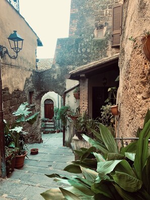 Un carreró estret amb parets de pedra, plantes en testos i una porta de fusta.