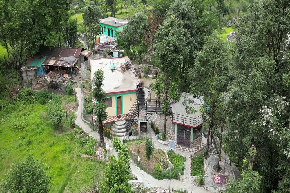 Peace Forest Retreat