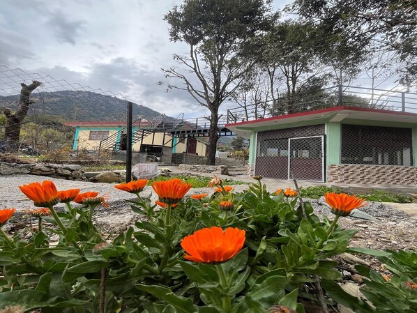 A building with a green roof and a fenced area with orange flowers in the foreground.